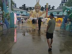 -海合安成都极地海洋公园