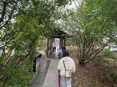 -苏州太湖国家湿地公园