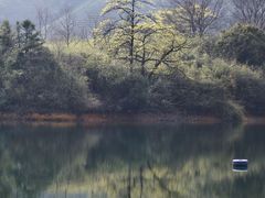 -龙坞茶村