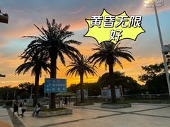 -上海玛雅海滩水公园