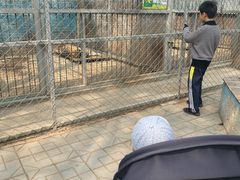 -廊坊市自然公园
