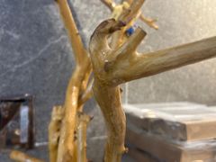 -雾鲜(KKMALL店)
