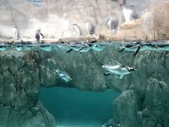 -成都浩海立方海洋公园