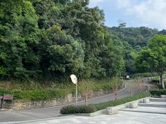 -火炉山森林公园