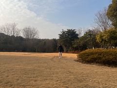 -宝界山林公园