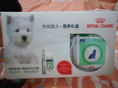 -瑞派·关忠动物医院·异宠专科·犬猫肿瘤·皮肤专科(望京店)