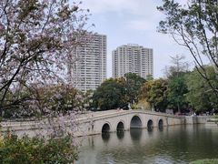 -荔湾湖公园