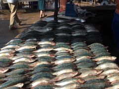 -尼甘布海鲜市场