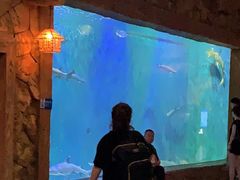 -华夏文旅海洋公园