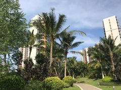 -神州半岛海上运动俱乐部