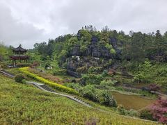 -梭布垭石林景区