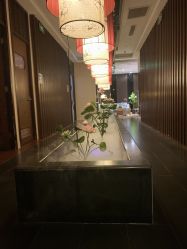 -诗泥SPA