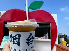 -海岛日记(养马岛店)
