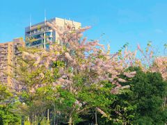 -四海公园(南山区)