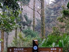 -莫干山风景区