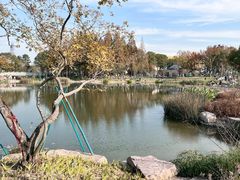 -宁波儿童公园(鄞州区)
