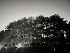 -文华公园(禅城区)