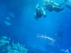 -烟台海昌鲸鲨海洋公园