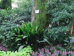 -杭州植物园