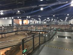 -南越王博物院(王宫展区)