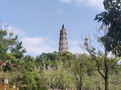 -顺峰山公园