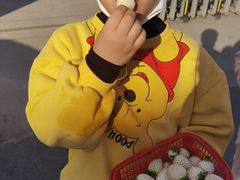 -喜杨洋草莓采摘园