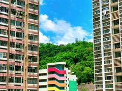 -彩虹村