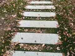 -徐家汇源景区-衡山公园