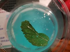 -哥老官重庆美蛙鱼头(日月光店)