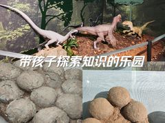 -中国地质博物馆