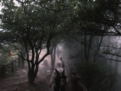 -梧桐山风景名胜区