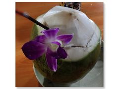 -Jungle Kitchen