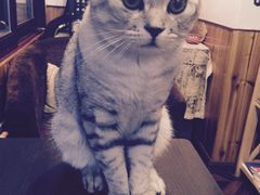 -隅cafe(傅厚岗店)