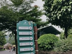 -森波拉奇妙世界