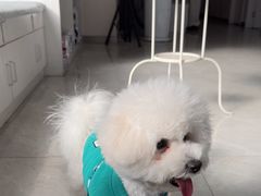 -中农国际动物医院24小时·猫科·骨科·急重症中心