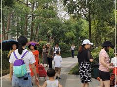 -成飞公园