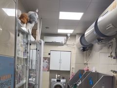 -北京观赏动物医院·24小时大型综合·猫专科·异宠专科