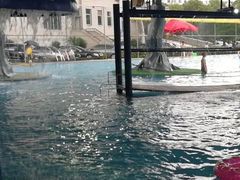 -福建省奥林匹克体育中心游泳馆