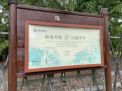 -田园东方蜜桃村的田野营地