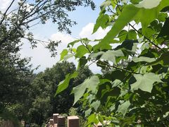 -杭州半山国家森林公园