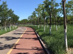 -天津东丽湖风景区