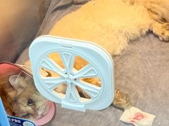 -动物缘宠物医院·骨科·猫科(西二环店)