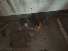 -大宅设计设计店铺(浦东店)