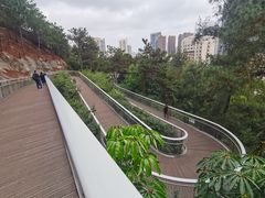 -狐尾山公园