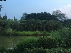 -白鹭湾湿地公园