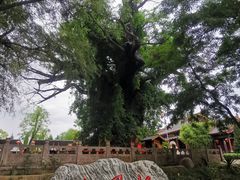 -大槐树寻根祭祖园