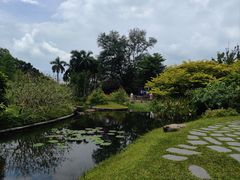 -云溪植物园