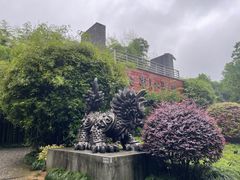 -杭州植物园
