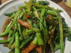 -鸽子窝(青塔店)