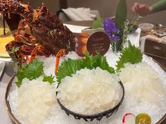 澳洲龙虾-协成海鲜火锅(情侣路店)